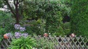 Nowa Maja w ogrodzie: Stare drzewa i urocze dekoracje